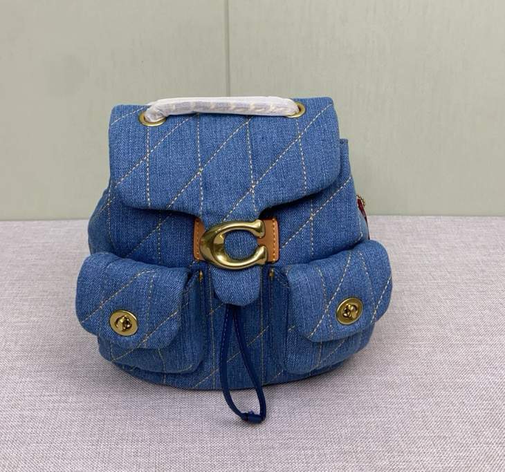 Picture of Coach Handbags _SKUfw238326731fw